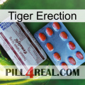 Tiger Erection 36